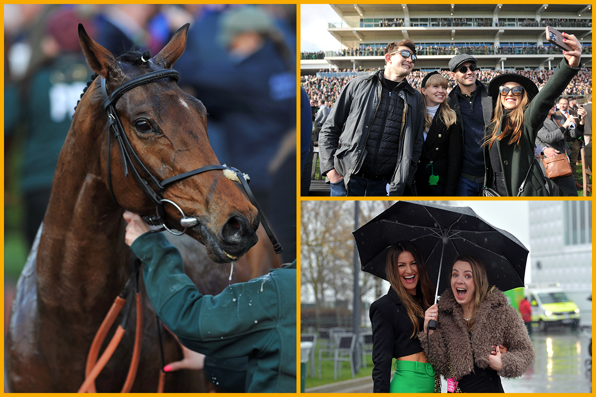 Horses and racegoers at The Cheltenham Festival